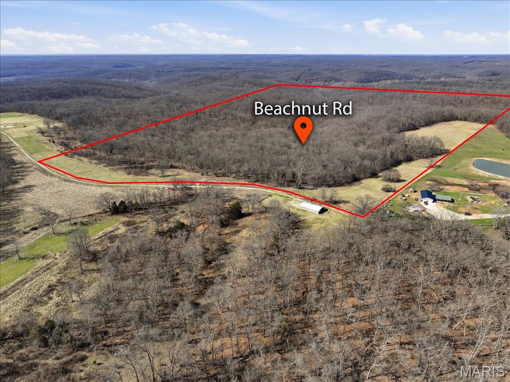 86.6+/- Acres of Secluded Paradise in Morgan County, MO. Experience this breathtaking property, a perfect retreat for outdoor enthusiasts, hunters, or anyone seeking peace and privacy. Secure Access: Gated entry with a well-maintained white rock road ensures both safety and convenience. Utilities Ready: CO-MO electric and high-speed internet are available on-site. Natural Beauty: Mature timber featuring Oaks, Hickory, and Walnut trees, serene creek, and open hay fields create a picturesque landscape. Outdoor Recreation: Extensive ATV/UTV trail network allows endless exploration, while clearings are ideal for fall and winter game plots. Wildlife Haven: Abundant wildlife includes trophy Whitetail Bucks (photo evidence available) and excellent Turkey hunting opportunities. Versatile Land: Surveyed with multiple home sites for building your dream home or a secure retreat. This diverse landscape offers tranquility, seclusion, and endless possibilities for adventure. Whether hunting, exploring nature, or seeking a peaceful getaway, this property is your ultimate escape.