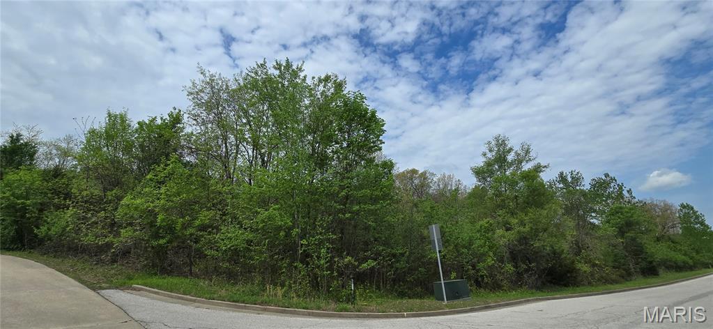 WELCOME TO SOUGHT AFTER HERMANN, MO AND TWO PRIME LOTS TOTALLING 4.28 ACRES FOR SALE!
PAVED ROAD FRONTAGE AND UTILITIES EASILY ACCESSIBLE. EXCELLENT BUILDING OPPORTUNITY!
THE PROPERTY HAS NO STRUCTURES AND BEING SOLD FOR RESIDENTIAL USE ONLY. THESE PARCELS OVERLOOK THE LAKE AT SEA-TAL LAKES SUBDIVISION PROVIDING A PEACEFUL & BEAUTIFUL SURROUNDING. THE LAKE IS PRIVATE AND HAS RESTRICTED USE FOR MEMBERS PF THE SEA-TAL COMMUNITY ONLY. THERE ISN'T AN HOA FEE ATTACHED TO THESE TWO LOTS - PARCELS
(05-1.0-01-002-005-001.000) & (02-7.0-36-003-017-003.00) ARE LOCATED IN GASCONADE COUNTY, MISSOURI. APPROVAL FROM THE CITY COUNCIL PLANNING & ZONING WOULD BE REQUIRED FOR RESIDENTIAL BUILD OUT PLANS. MEDIAN HOUSING IN HERMANN IS CURRENTLY AT $347,000, SO THIS IS A PERFECT OPPORTUNITY TO BUILD TO SUIT OR FOR A BUILDER TO ACQUIRE AND SUBDIVIDE AS NEEDED.

THE PROPERTY IS WOODED AND FRONTS BAVARIAN HILLS AND BACKS TO HIGHWAY 19. IT IS CONVENIENTLY LOCATED NEAR RESTARAUNTS, DOWNTOWN HERMANN SHOPS, MOBILE GAS STATIONS, WINERIES, TRAILS, AND HERMANN TRAIN STATION. THIS IS AN OPPORTUNITY TO BE CLOSE TO WINE COUNTRY AND ALL A BEAUTIFUL HISTORIC TOWN HAS TO OFFER!

THE PROPERTIES ARE BEING SOLD TOGETHER AND OFFER A UNIQUE OPPORTUNITY TO CREATE YOUR DREAM HOME OR BUILD SOMEONE ELSES!