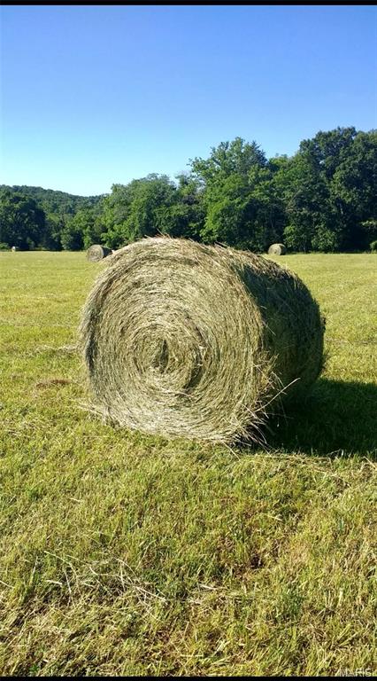None - Farm