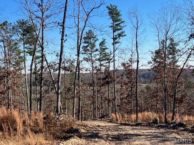 Wooded rural acreage with electricity along the road on the western border .. it doesn't get much better. But what if it was close to Mark Twain National Forest and the spring-fed 12-Mile Creek ... a landowner's dream come true. 
This small affordable Ozark oasis comes with a great gravel road access along the border, and there are NO restrictions. 
Hunt, camp, build, ride ATVs, and if you buy a piece with creek you can fish or play in the water, too. The opportunities are endless.
This property is wooded and rolling. You are less than a mile from the 22,176-acre Mark Twain National Forest ... public ground where you can hunt, ride and explore. Yet you're only about 1.5 miles by road from U.S. 67 for quick and easy access.
Use this affordable 9.242 acres as a base camp for adventure. This and surrounding acreage is teeming with deer, turkey and small game. This piece will sell fast, so call today and line up a time to take a look. Once you see, you'll likely want to own!