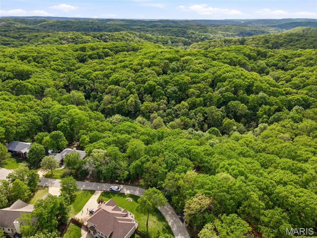 Don't miss this opportunity to build your dream house on this large, beautiful, tree-lined property. 1517 & 1521 Red Briar encompasses nearly 3 acres total on a quiet cul-de-sac and is surrounded by lush wooded landscape, but is also minutes from many local restaurants and shops along Gravois Rd. Grab this property while you can and make Red Briar your dream oasis for years to come!
