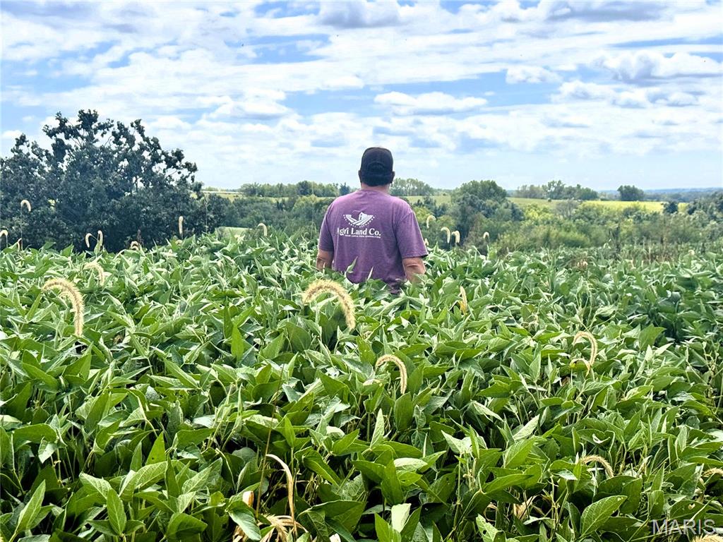 n/a - Farm
