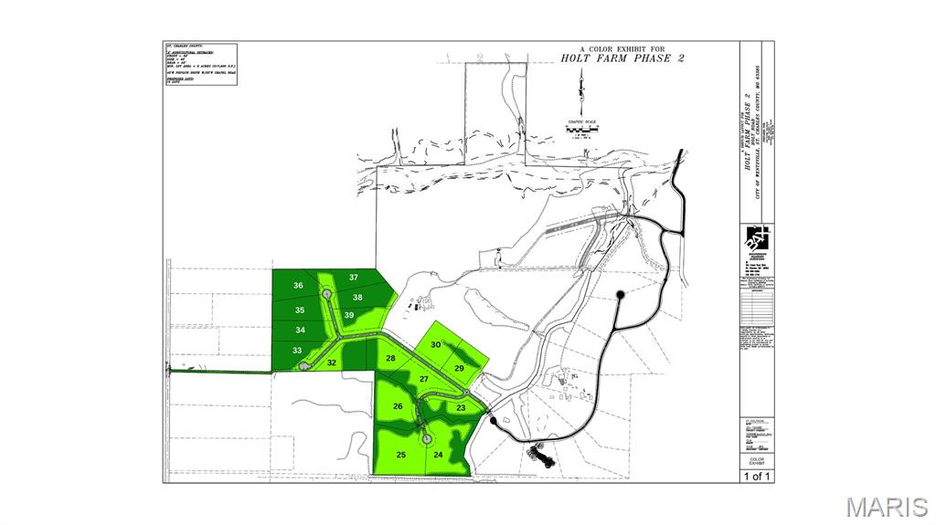 The Grove at Holt Farms - Land