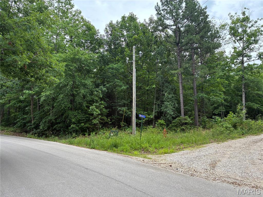 This wooded corner lot is located in a quiet subdivision and is a wonderful site for a beautiful new home. It has electric on site with public water and public sewer available. This lot offers lake access and views of the private community lake.