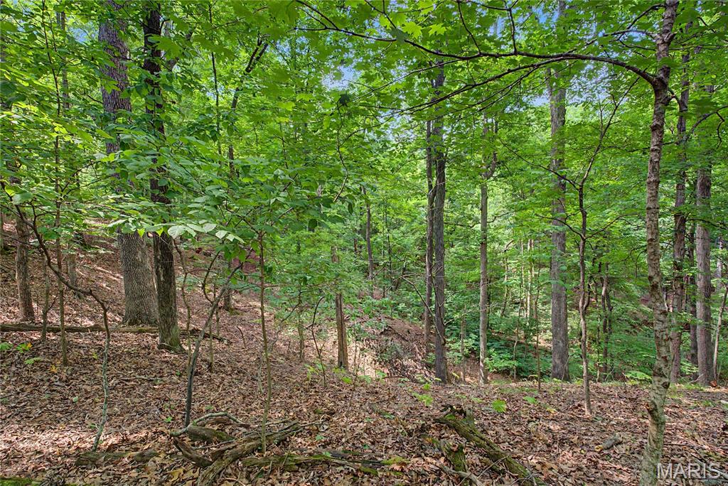 Ashland Hills Estate - Residential