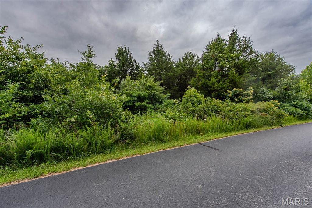 Winding Woods Estates - Land