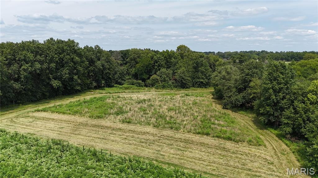 - - Farm