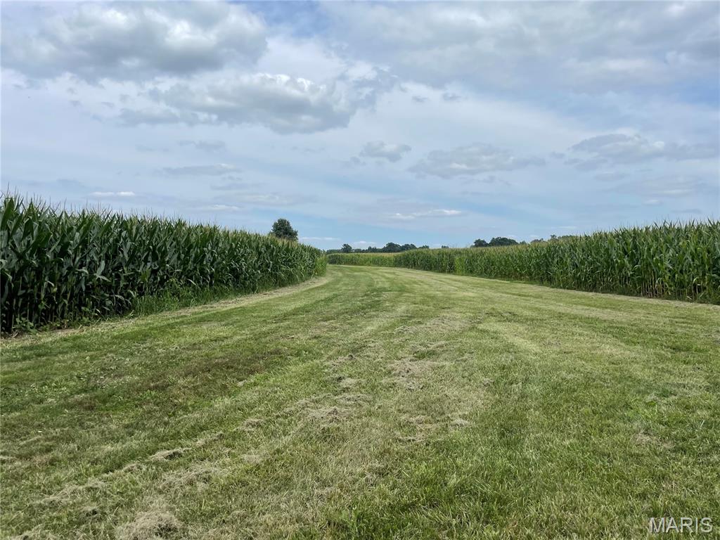 - - Farm