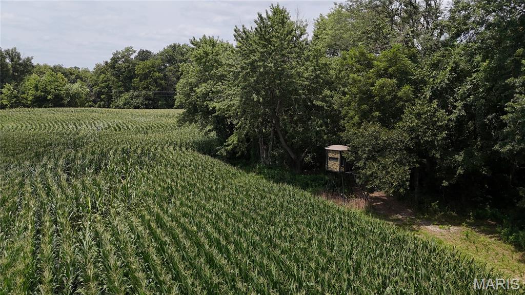 - - Farm