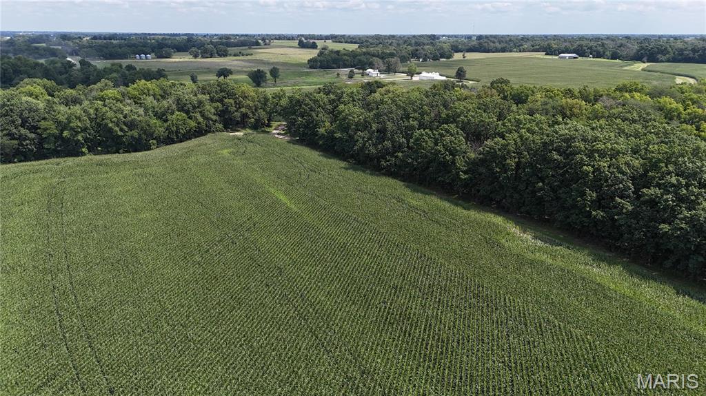 - - Farm