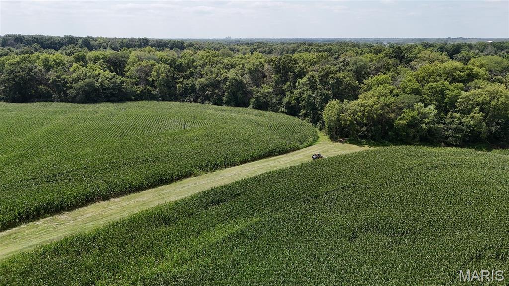 - - Farm