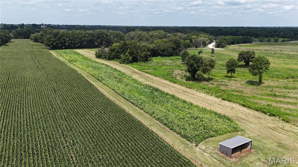 - - Farm