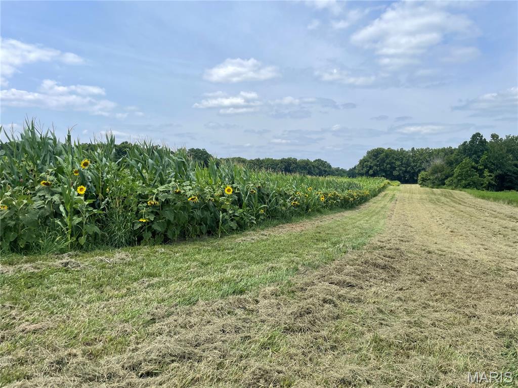 - - Farm