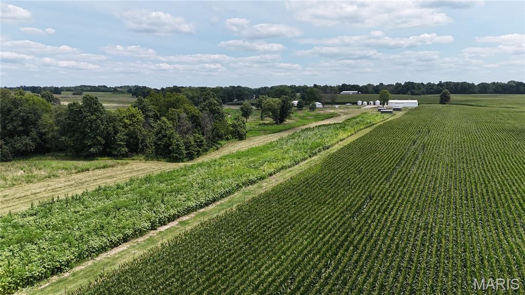 - - Farm