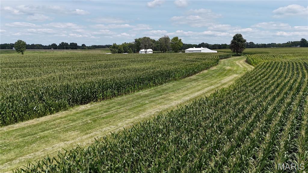 - - Farm