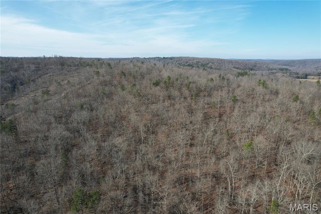 Hidden Hollow 70

Rare opportunity to own 70 acres of all-timber land offering a private, secluded retreat just about an hour and a half from St. Louis. This tract provides an ideal combination of privacy, wildlife habitat, and convenient access, making it perfect for hunting, recreation, or establishing a future homesite. The property is located at the end of a private dead-end road, ensuring peace and minimal traffic while still being close to town amenities, services, and everyday conveniences.

The entire parcel is wooded with mature and young timber, providing excellent cover and habitat for deer, turkey, and a variety of other wildlife. Hunters and outdoor enthusiasts will appreciate the abundant game and the opportunity to create trails, tree stands, or other recreational features. With multiple potential homesites, the property is well-suited for a primary residence, cabin, or off-grid retreat. Electric service is already on the property, further increasing development possibilities and convenience.

This acreage is highly versatile, offering endless possibilities for investment, recreation, or future development. Its combination of size, location, and natural features makes it a rare find in the region. Whether seeking a private hunting haven, a quiet build site, or a long-term land investment, this property provides both opportunity and flexibility in a beautiful, wooded setting. Don’t miss the chance to own a tract with such privacy, accessibility, and recreational potential.