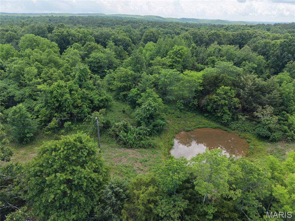 As you step onto this 27-acre tract on Hwy 160 in Southern Missouri and you’re greeted by the sound of bobwhite quail echoing through the timber, a quiet reminder that you’ve arrived somewhere truly special. Tall hardwoods, rolling ground, and a small pond set the scene, with wildlife moving through the property from dawn to dusk.

Bordered by National Forest on two sides, this land offers unmatched access to thousands of acres of public ground just beyond the boundary lines. With power available and direct Hwy 160 access, it’s ready for a cabin, campsite, or full-time home. Deer, turkey, and small game are abundant, making it a prime hunting and recreational getaway.

Property Features: * Just 6 miles to Eleven Point River,
* 20 miles to Current River
* 20 miles to Doniphan, MO
* Bordered by National Forest on two sides for expanded access
* Excellent hunting opportunities with abundant deer, turkey, and small game
* Hardwood timber and rolling terrain create a scenic setting
* Small pond adds wildlife habitat
* Direct highway frontage provides easy year-round access
* Power available at the road for future development
* Ideal location for a cabin, campsite, hunting retreat, or full-time residence
* Peaceful rural setting with access to thousands of acres of public land