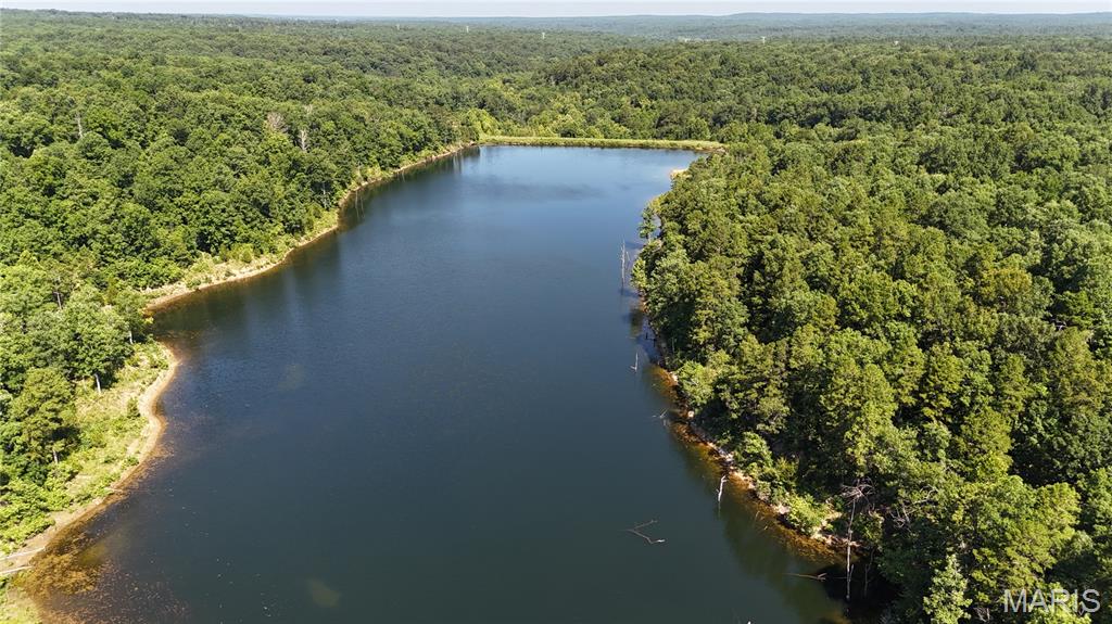 This turn key secluded recreational paradise is located just 13 miles SW of Potosi in the middle of 1000's of acres of the Mark Twain National Forest. It is set up like a private resort which reminds me of being at a miniature Lake of the Ozarks, except this is 100 % private. This property offers a 23+ acre lake for fishing, swimming, and boating, a 3,737 square feet lodge, beautiful landscaping around the decks, covered outdoor kitchen/bar, boat slips, sandy beach, covered pavilion, and almost any lake property amenity you can think of. The lodge and lake shore are set up great for entertaining many guests for extended stays. Included is 240 acres of mature, marketable timber, with beautiful tall pines mixed in. Great deer and turkey hunting opportunities are all around, a well maintained road system is in place for accessing the entire property and there are beautiful views in almost every direction. Views from within your home nearly everywhere are breathtaking for sure. The guest house is recently remodeled and is a fabulous stay with natural light and bay window views of the deck and lake beyond. Over 500 feet of well-maintained decks for fishing, relaxing, and enjoying the wildlife. This has a private gated entrance.