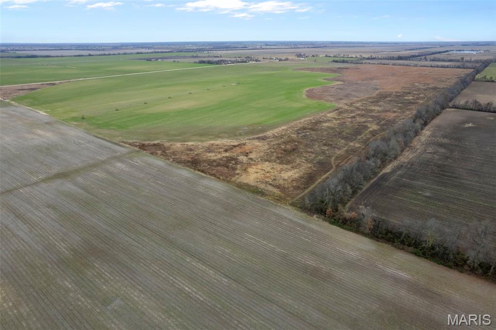 Located in Bertrand, this 230 +/- acre farm offers a strong blend of immediate income potential and future upside. With excellent access directly off County Road 249, the property is easily accessible for equipment and day-to-day operations, making it a highly functional tract for modern farming. Approximately 140 +/- acres are currently in row crop production and have been professionally graded, providing efficient field work and solid production capability. An additional 40 +/- acres are not currently cleared but present a strong opportunity to be converted into productive farmland if cleared, offering meaningful upside for a buyer looking to expand tillable acreage. The remaining 50 +/- acres are non-productive and could be utilized for drainage improvements, wildlife habitat, or long-term land management options. Situated in Mississippi County, a well-known agricultural region, this property is well suited for operators looking to grow their footprint, investors seeking value-add potential, or buyers wanting quality ground with excellent access and future expansion opportunities.