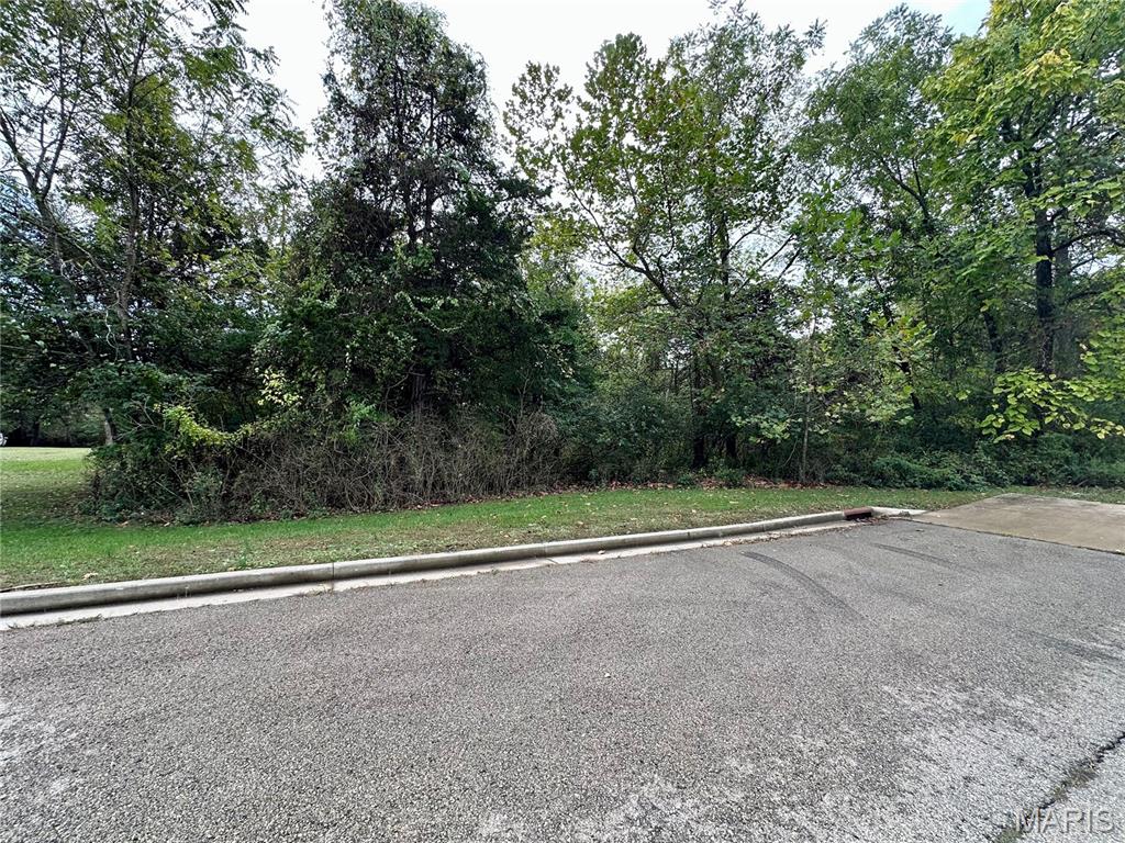 Shady Lane Sub - Land