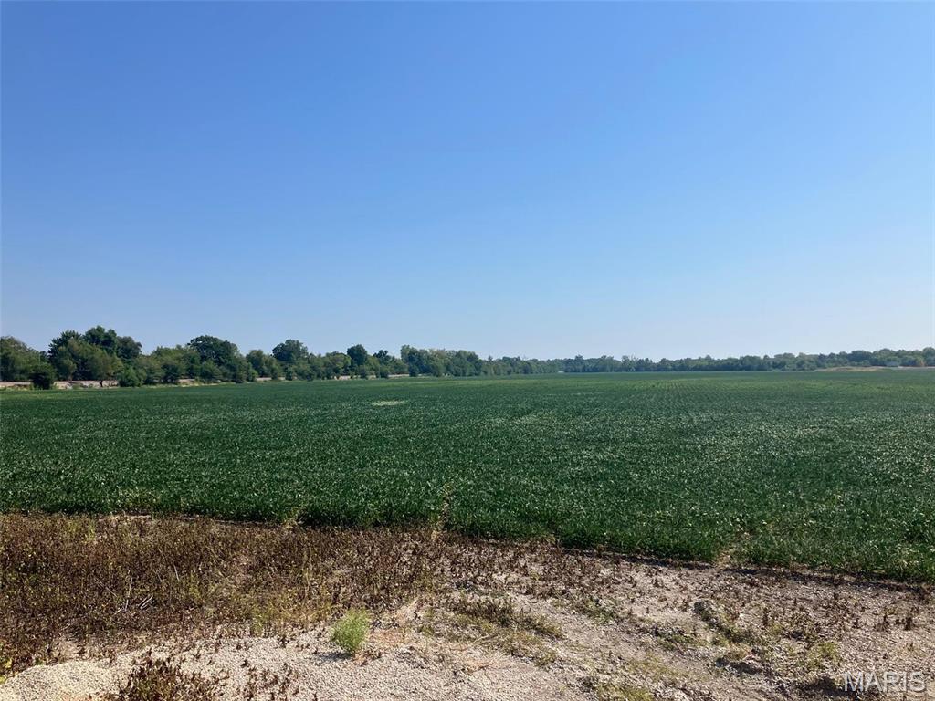 Newport Meadows Future Dev - Farm
