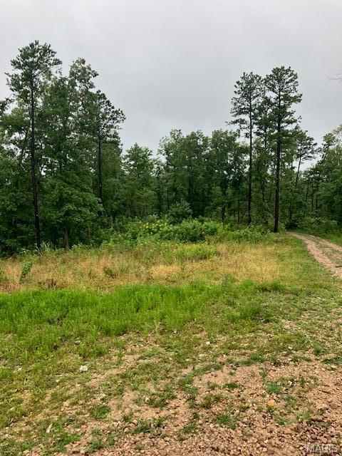 PRICE JUST REDUCED! Less than a mile from Mark Twain National Forest, and less than 90 minutes from St. Louis, and you have access to a 3 acre shared section of spring-fed creek and gravel bar. 
You'll have plenty of space to park that camper or build a cabin or home on this 6+ acres ... with electricity along the east boundary. This wooded property has a nice gravel road access. 
This affordable oasis comes with NO restrictions. 
Hunt, camp, build, shoot, ride ATVs, use it as a base camp for exploring the northern Ozarks. Or use it as a bugout location if/when the SHTF in the city.
Less than a mile from Mark Twain National Forest, and for a $200 annual fee you get road maintenance and access to a shared 3-acre gravel bar and section of 12 Mile Creek. Did I mention there are no restrictions!!
No building codes, no permits to pull for construction. And this, and the surrounding land is teeming with deer, turkey and small game. There is adjoining acres available as well if you want more.