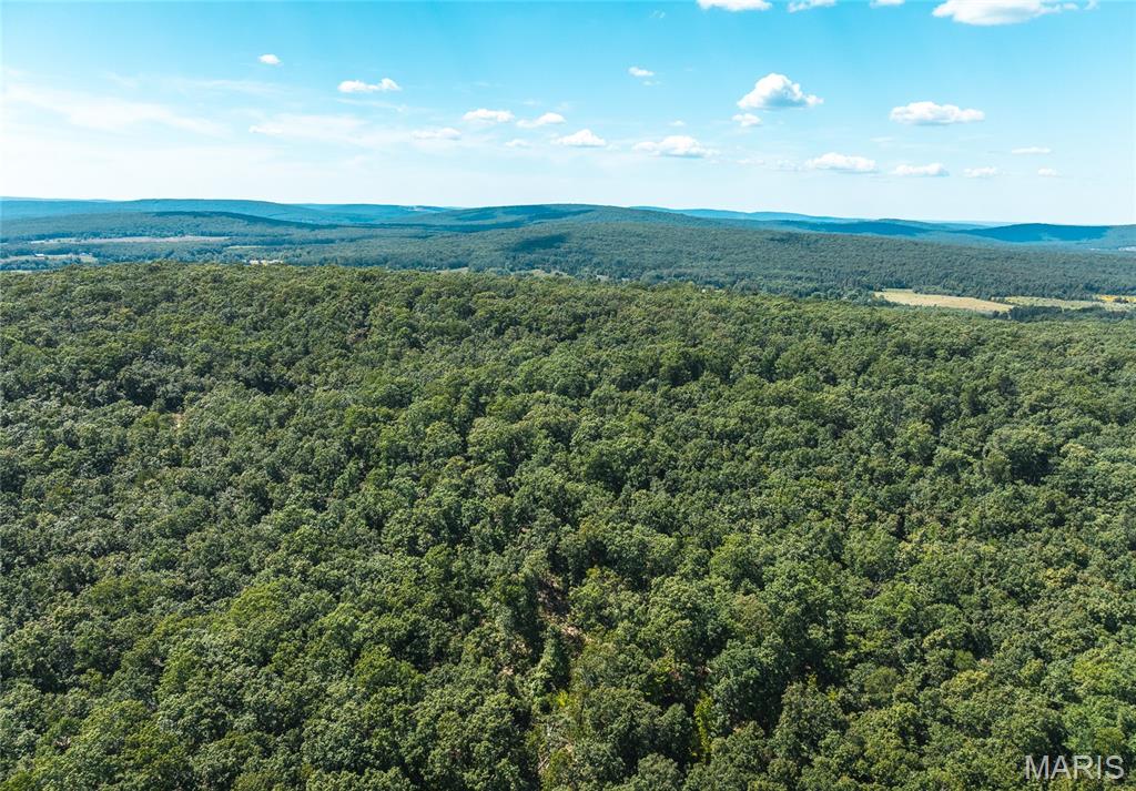BUCK MOUTAIN 14. Discover the possibilities with this beautiful 14-acre parcel, more or less, conveniently located on Buck Mountain Road just minutes from Farmington, Missouri. Offering the perfect blend of privacy, accessibility, and recreational potential, this property presents an excellent opportunity for those looking to build their dream home, establish a weekend getaway, or invest in land for future use.
The property features several attractive building locations with electric service nearby, making development more convenient and cost-effective. Whether you’re envisioning a custom home, cabin, barndominium, or recreational retreat, this acreage provides the space and flexibility to bring your plans to life.
Outdoor enthusiasts will appreciate the recreational opportunities this property offers. The land provides habitat for deer, turkey, squirrel, and other native wildlife, making it an ideal location for hunting, wildlife observation, hiking, camping, or simply enjoying the outdoors. The peaceful setting creates the perfect escape from the demands of everyday life while remaining close to town.
Located approximately 10 minutes from Farmington, you’ll enjoy quick access to shopping, restaurants, healthcare facilities, schools, and other amenities while maintaining the privacy and tranquility of a rural setting. The convenient location also places you near many of Southeast Missouri’s outdoor attractions, including parks, conservation areas, and public lands.
Whether you’re searching for a homesite, recreational property, hunting tract, weekend retreat, or long-term investment, this versatile acreage offers a rare combination of location, usability, and natural beauty. Small acreage tracts in desirable locations continue to be in high demand, making this an opportunity worth exploring.
Bring your vision and make this beautiful piece of Missouri countryside your own. Enjoy the freedom, privacy, and outdoor lifestyle that only land ownership can provide.