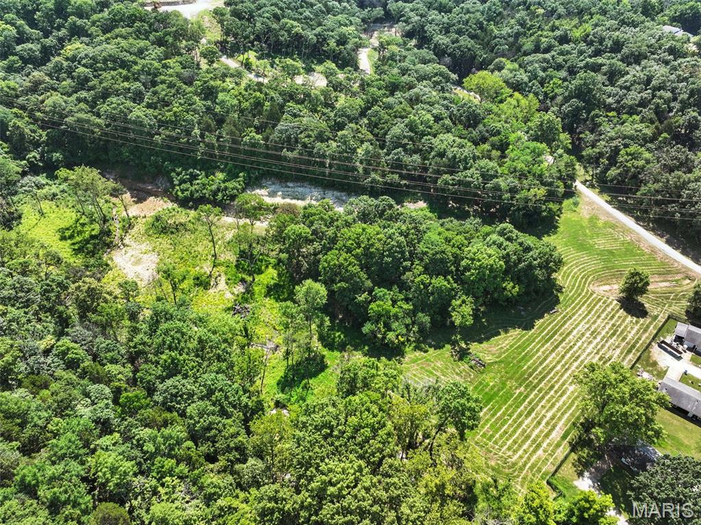 Seven Springs - Farm