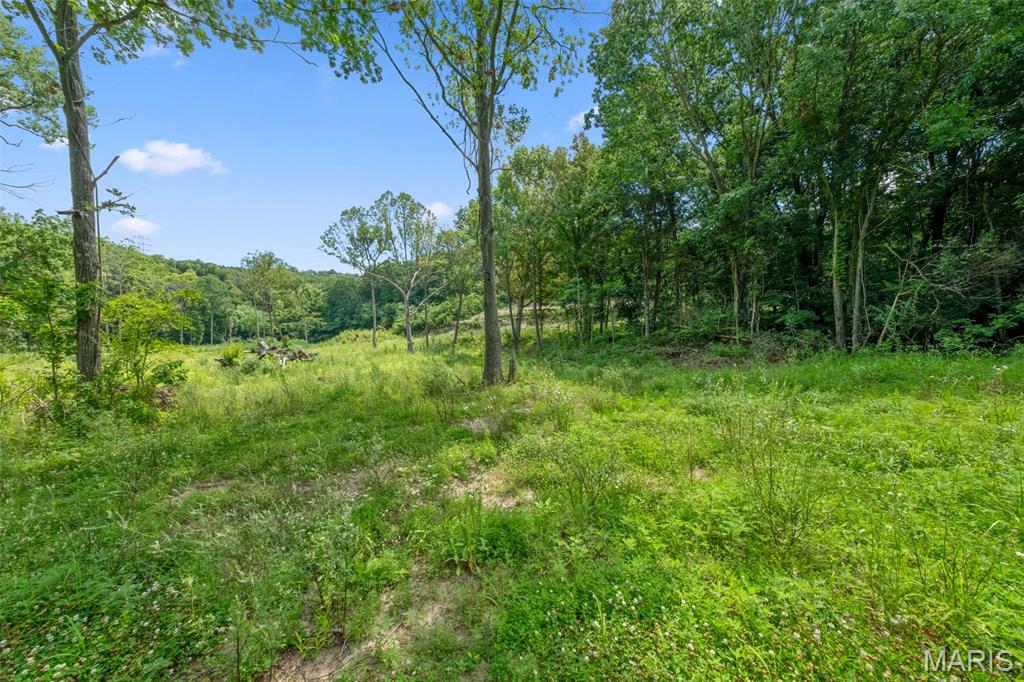 Seven Springs - Farm