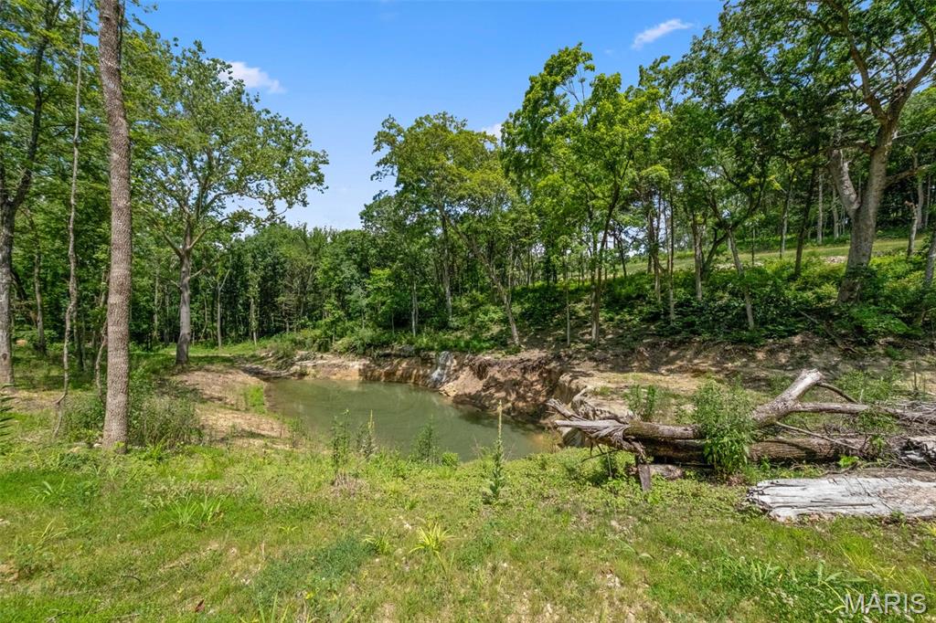 Seven Springs - Farm