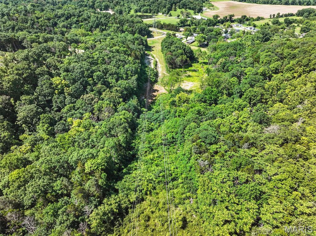Seven Springs - Farm