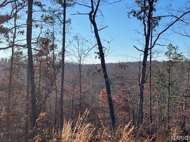 Wooded rural acreage with electricity and gravel road access along the northern and eastern boundaries .. it doesn't get much better. But what if it was close to Mark Twain National Forest and the spring-fed 12-Mile Creek ... a landowner's dream come true. 
This small affordable Ozark oasis comes with NO restrictions. 
Hunt, camp, build, ride ATVs, and if you buy a piece with creek you can fish or play in the water, too. The opportunities are endless.
This property is wooded and rolling. You are less than a mile from the 22,176-acre Mark Twain National Forest ... public ground where you can hunt, ride and explore. Yet you're only about 1.5 miles by road from U.S. 67 for quick and easy access.
Use this affordable 6.8 acres as a base camp for adventure. This and surrounding acreage is teeming with deer, turkey and small game. This piece will sell fast, so call today and line up a time to take a look. Once you see, you'll likely want to own!
