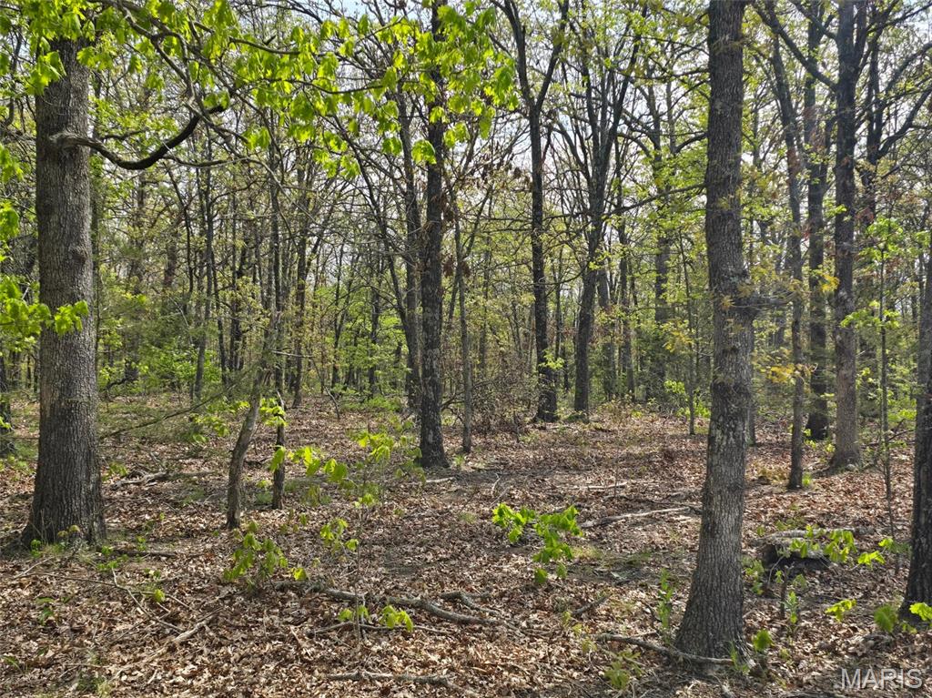 Greatview Lane - Land