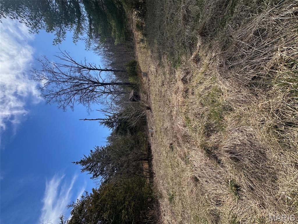 Big Woods - Land
