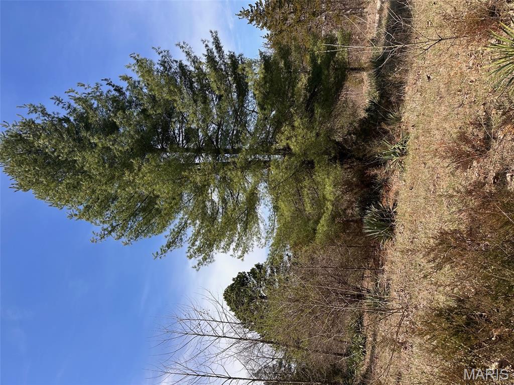 Big Woods - Land