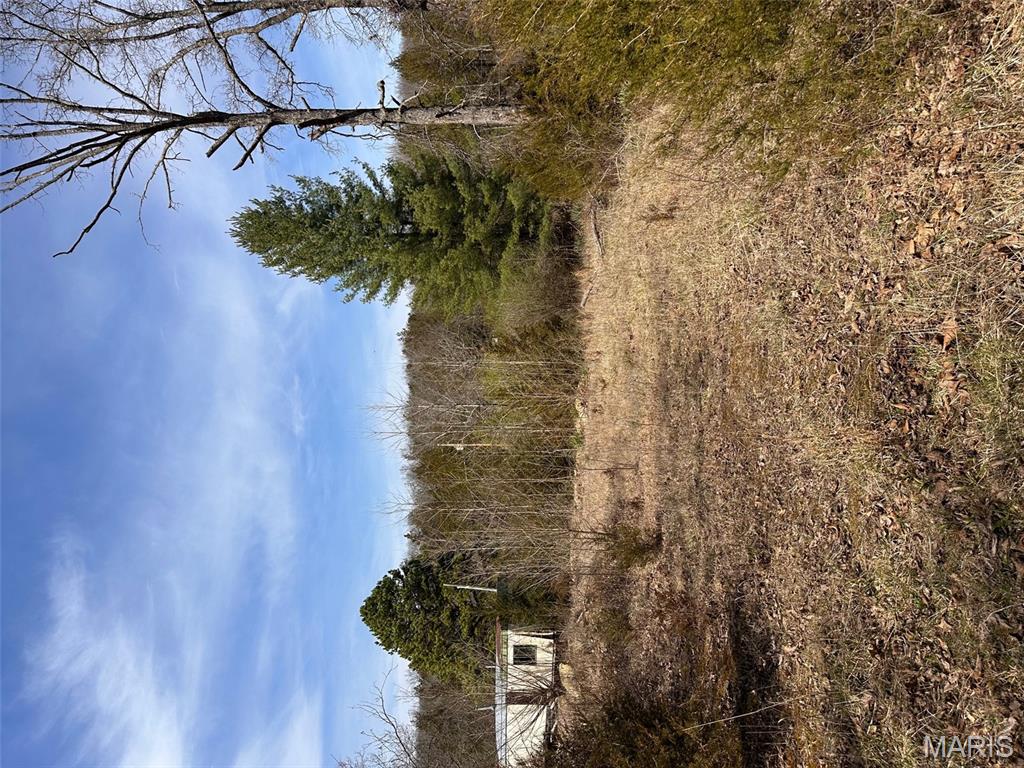 Big Woods - Land