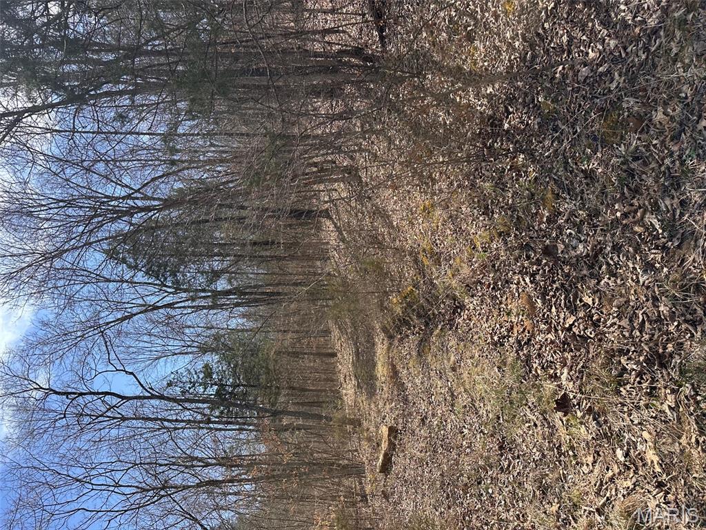 Big Woods - Land