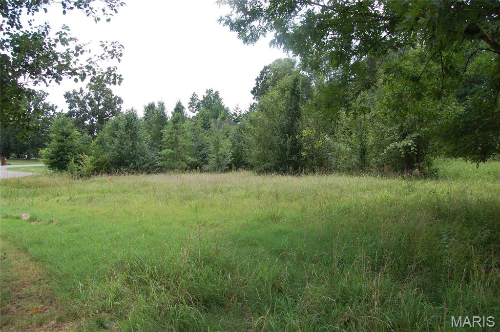 Patillo & Guess Estates - Land