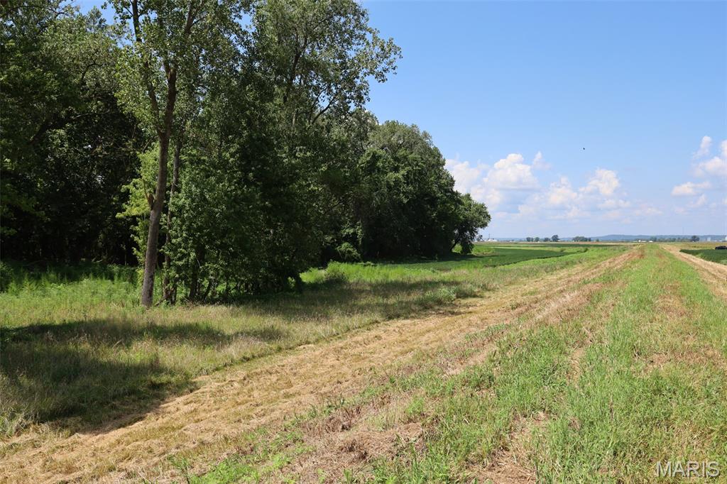 N/A - Farm