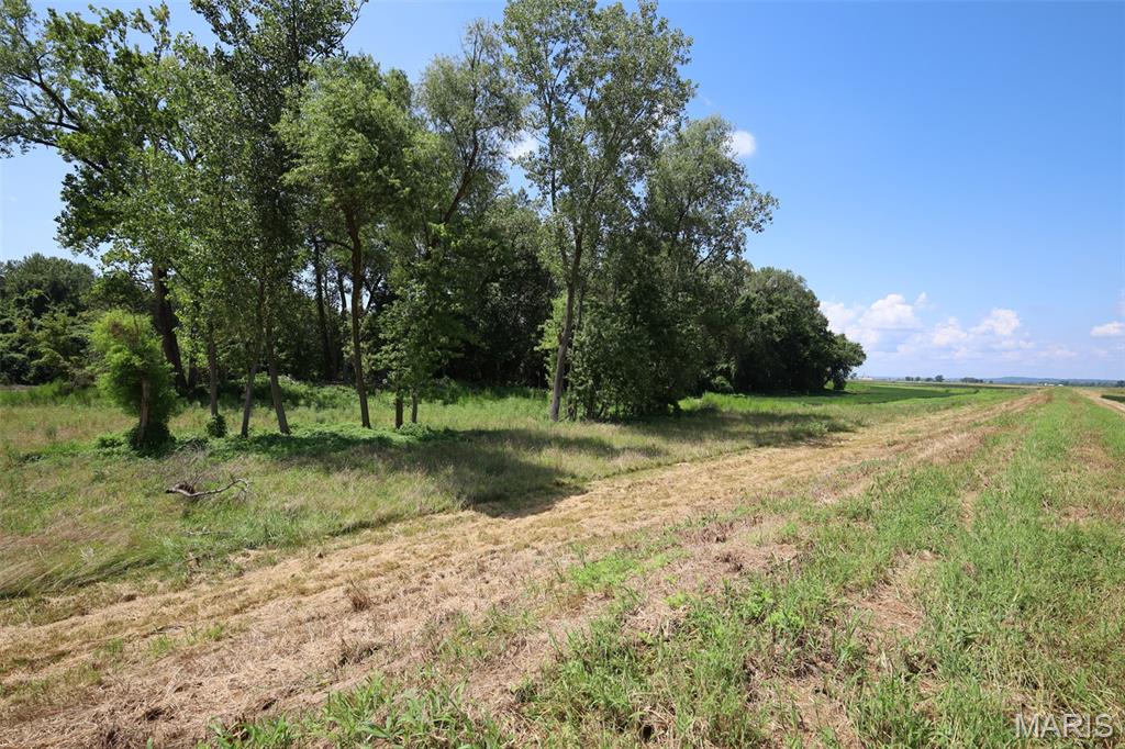 N/A - Farm