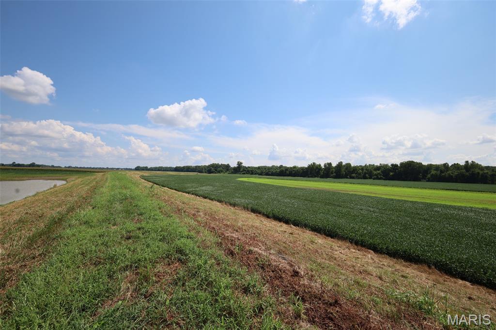 N/A - Farm