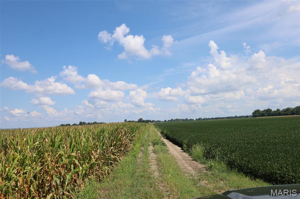 N/A - Farm