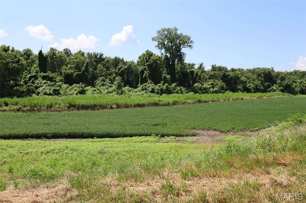 N/A - Farm