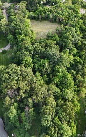 This extraordinary parcel in the heart of Town and Country offers a rare blend of privacy and convenience. Enter from Brook Mill Lane through the quiet neighborhood into the mowed drive. Atop the flat hill, nearly one-acre has been cleared and is ready for your dream home. Mature trees surround the 3.66 acre property, creating a secluded, park-like, private setting. This unique property presents an exceptional opportunity to create a custom estate in one of the area's most desirable locations. Soil testing and tree survey have been completed. Electric, gas, water, and cable are on the property. Conveniently located, this special piece of land is an ideal place to create a special retreat in St. Louis County. Access to the property is from Brook Mill Lane. From Clayton Road east of 141, turn north on Old Woods Mill Road, turn right on Brook Mill Lane. The access to the property is on your left after on Brook Mill. There is a clear cut grass pathway to the property. Enjoy this link to drone footage of the property. https://youtu.be/HUA68I2NexI