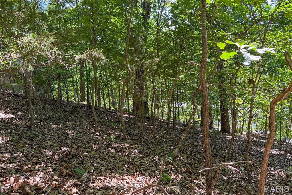 Sycamore Park - Land