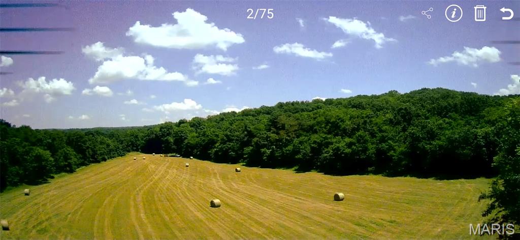 Here’s your chance to own 185 +/- surveyed acres of your own land in Crawford County, near the Huzzah River. This property checks all the boxes if you’re looking for a hunting and recreational getaway or a place to build your future home.

From the enclosed hunting blind overlooking approximately 13 acres of open fields, you can watch for deer and turkey while enjoying the quiet beauty of nature. The property is mostly wooded, with established trails throughout—perfect for your ATV or UTV, whether you’re retrieving game or simply exploring for fun. Schedule your showing today.