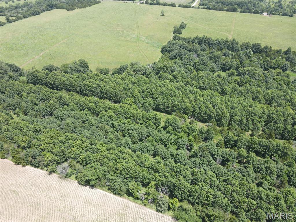 Incredible opportunity to own **31± acres in one of the most desirable Route N locations**, just 5 minutes south of Monroe City and perfectly positioned on the Indian Creek side of Mark Twain Lake! Whether you are looking for a recreational getaway, hunting tract, investment property, future homesite, or lake-area escape, this property checks all the boxes.

The land is mostly flat with a touch of gentle slope, offering a beautiful blend of open acreage and woods. Tillable land is in CRP. With an NCCPI of 61.3 and Armstrong and Mexico soil types, this tract offers strong land value in a highly sought-after area.

Enjoy hard-surface road frontage along the east side, rural water at the road along with electric and fiber available. Route N Boat Ramp is just minutes away, and Indian Creek Marina is within approximately 15 minutes, making lake access quick and convenient. The property is surrounded by open fields and wooded acreages, creating the perfect mix of privacy, scenery, and accessibility.

Located in the Monroe City School District. Seller is willing to subdivide and consider other acreage amounts. A rare Route N acreage like this does not come along often!
