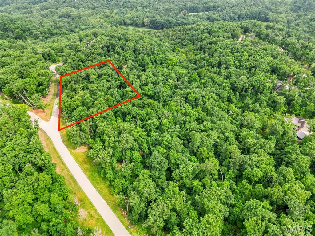 Expanded Opportunity – Double Lot Available!
The adjacent lot is also available, offering the rare chance to own a combined 4.05 acres.
Discover a breathtaking 2.02-acre homesite filled with mature hardwoods and elevated terrain—perfect for capturing dramatic, bird’s-eye views of the surrounding forest. This exceptional Treehouse lot provides the ideal setting to build one of Innsbrook’s Treehouse concepts: a private retreat designed to feel as though it’s floating high above the forest floor. Located in the sought-after Tyrolean region of Innsbrook, this property enjoys the benefit of a private entrance gate and convenient access to Charrette Creek Commons, multiple lakes, the Tyrolean Nature Trail, and a brand-new pool complex.
Whether you’re envisioning a full-time residence or the ultimate weekend escape, this stunning property offers the flexibility to create the lifestyle you’ve been dreaming of.