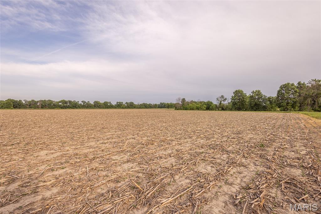 This beautiful 115± acre farm in Audrain County offers an outstanding combination of recreation, income, and potential building opportunities in a proven big buck area. With a strong history of mature whitetail deer and turkey hunting, the property has been carefully managed to create excellent wildlife habitat and consistent hunting success.

The farm features a strategically positioned Banks blind with established hunting setups already in place, making it ready to hunt from day one. Diverse terrain, scenic views, and a beautiful landscape create the perfect setting for both recreation and future development.

Approximately 65± tillable acres currently generate $11,375 in annual rental income, with additional income potential from hay production. The farm has been exceptionally well maintained by both the current owner and the family farming the tillable acreage, reflecting strong stewardship and pride of ownership throughout the property. Around 2 acres of established food plots further enhance the hunting opportunities and overall wildlife habitat.

The property also offers the rare benefit of both lake and river access, adding to the farm’s recreational appeal and scenic character. Multiple excellent building locations provide the opportunity to construct a dream home, hunting cabin, or weekend retreat overlooking the countryside.

Whether you are searching for a premier hunting farm, an income-producing investment, or a scenic property to build on, this tract has the qualities to satisfy all three.