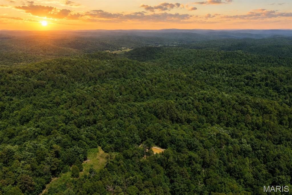 Discover an exceptional opportunity to own 88± acres of meticulously managed timberland in the heart of the Missouri Ozarks, just southeast of Viburnum along Highway 49. Whether you're dreaming of establishing a self-sufficient homestead, developing an agroforestry operation, creating a premier hunting retreat, or simply investing in a diverse recreational property, this tract offers unlimited potential with all water and mineral rights conveying and no zoning restrictions.

As you enter the property from the deeded 30-foot easement off paved Highway 49, you'll find a picturesque pond and open area that creates the perfect setting for your future home, cabin, or food plot. Electric is nearby, the area is well-suited for drilling a private well, and multiple scenic building sites offer privacy and beautiful views.

The land has been thoughtfully improved and carefully managed for both timber production and wildlife habitat. Extensive forestry practices, including crop tree release, invasive species control through prescribed burning, and an NRCS management plan, have enhanced the overall health and productivity of the forest. The property also features an established ATV trail system, making it easy to explore every corner while providing excellent access for hunting, trail riding, and recreation.

A wet-weather creek transitions into a spring-fed creek flowing through the center of the property, with a natural spring providing a dependable water source for wildlife. The diverse landscape supports an abundance of native vegetation, including hazelnut, black walnut, white oak, cherry, pawpaw, persimmon, elderberry, serviceberry, blueberries, mushrooms, and medicinal herbs, all documented through an extensive forest management inventory. Native pollinator habitat and additional fruiting shrubs and trees have also been established, creating an ideal environment for wildlife and sustainable forest production.

Hunters will appreciate the property's outstanding habitat for whitetail deer, wild turkey, wild hogs, and even black bear. Better yet, the property directly borders Mark Twain National Forest, providing thousands of additional acres to explore and hunt. Property boundary trees are clearly marked, and remnants of an old homestead add a touch of history and character.

The rolling topography offers several locations that could support the construction of additional ponds or even a larger lake, creating even more recreational and agricultural possibilities. For qualifying owner-occupants, the property may also provide eligibility for Missouri landowner hunting permits.

Conveniently located approximately 35 minutes from Viburnum, Salem, Potosi, and Ironton, this property combines privacy with accessibility, making it an ideal weekend getaway or full-time residence.

Whether you're looking to build your dream home, establish a sustainable homestead, manage timber, hunt world-class wildlife, or simply own a beautiful piece of the Ozarks, this one-of-a-kind property truly offers endless possibilities. Call today to schedule your own private tour.